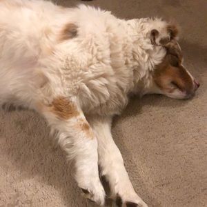 Meet your Posher, Jim